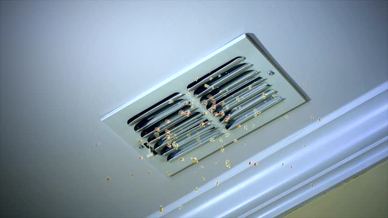 Best Duct Cleaning Specialists  in Bloomingdale, GA