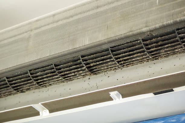 Best Duct Cleaning for Homes  in Bloomingdale, GA